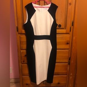 Calvin Klein Dress